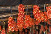 Hanging grape tomatoes, Tenuta Tannoja, Andria, Italy