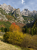 Peaks of Dolomiti di Brenta high above Val d'Algone Dolomiti di Brenta, part of UNESCO World Heritage Site. Italy, Trentino.
