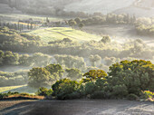Italien, Toskana, Morgenlicht über den Feldern mit Winterweizen über der toskanischen Landschaft