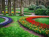 Netherlands, Flower Displays at Keukenhof gardens