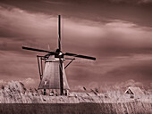 Niederlande, Kinderdijk. Windmühlen bei Sonnenuntergang in Kinderdijk