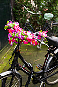 Netherlands, Amsterdam. Bicycle detail