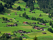 Schweiz, Kanton Bern, Grindelwald, Bauernschaft Apline