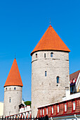 Die alten Stadtmauern der Altstadt von Tallinn, UNESCO-Weltkulturerbe, Estland, Baltikum