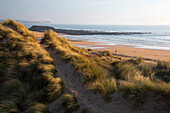 United Kingdom, Wales, Pembrokeshire. Dunes of Freshwater West Beach, Pembrokeshire, Wales.