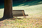 Empty bench in public park