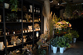 Interior of dry flowers interior decoration shop