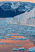Greenland, Scoresby Sund, Gasefjord. Sunset with icebergs and brash ice.