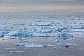 Greenland, Disko Bay, Ilulissat, elevated view of floating ice and fishing boat