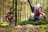 Forest machine working in forest