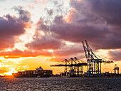 Shipping cranes at sunset