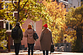 Rear view of friends walking together