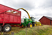 Combine harvester working at farm