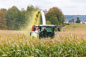 Combine harvester working in corn field