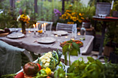 Vegetables in greenhouse