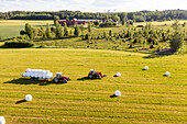 Tractor collecting hay bales