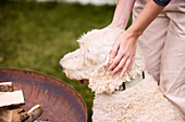 Woman's hands stroking dog