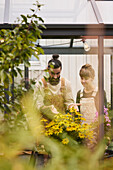 Smiling couple in greenhouse