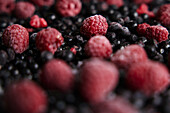 Close-up of pile of raspberries and blackcurrants