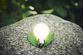 Illuminated light bulb on rock