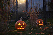 Geschnitzte Jack-o-Lanterns im Garten