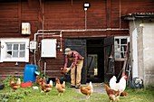 Männlicher Landwirt fängt Hühner im Freien