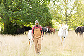 Male farmer walking among horses