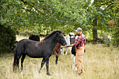 Male farmer feeding horses in field