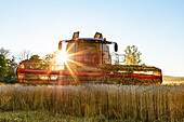 Combine harvester in field at sunset