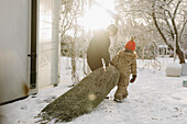 Boy and girl pulling Christmas tree