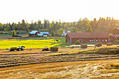 Tractors collecting hay bales in field