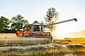 Combine harvester working in field