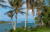 Guam, USA Territorium. Palmen und Wellen am Bear Rock in Süd-Guam
