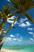 Kokosnusspalmen und Strand, Takitimu District, Rarotonga, Cookinseln, Südpazifik
