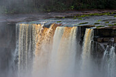 Kaieteur-Fälle, Guyana. Die Kaieteur Falls sind der breiteste Wasserfall der Welt und befinden sich am Potaro River im Kaieteur National Park in Essequibo, Guyana.