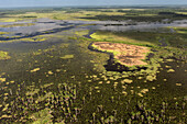 Wetland MMA, Abari Swamps, Mahaica Miconi Abari, Guyana