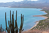 Mexiko, Baja California Sur, Loreto-Bucht. Blick vom Hart Trail, der zum Rattlesnake Beach führt