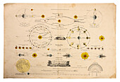 Antique French diagram showing phases of Sun, Moon, and Earth