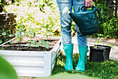 Woman holding watering can by raised garden bed