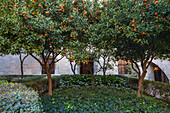 Spain, Garden At Ther Lonja De La Seda The Silk Exchange A Unesco Whs