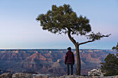 United States, Arizona, Grand Canyon National Park, South Rim, Senior female hiker standing under tree