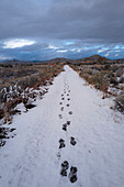 United States, New Mexico, Santa Fe, Footprints in snow under cloudy sky 
