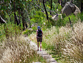 Australien, Queensland, Girraween-Nationalpark, Rückenansicht einer Frau, die auf einem Pfad in der Wildnis wandert