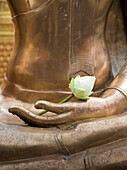 Thailand, Bangkok, Wat Phra Temple, Lotusblume auf Buddha-Statue