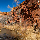 USA, Utah, Escalante, Frau beim Wandern im Grand Staircase-Escalante National Monument