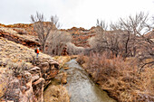 USA, Utah, Escalante, Frau wandert entlang des Escalante River im Grand Staircase-Escalante National Monument