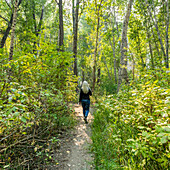 Rückansicht einer Frau, die auf einem Fußweg im Wald im Draper Reservat spazieren geht