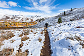 USA, Idaho, Ketchum, Hiker with golden labrador on snowy trail near Sun Valley