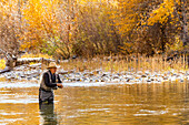 USA, Idaho, Bellevue, Senior man fly fishing in Big Wood River in Autumn