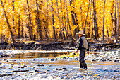 USA, Idaho, Bellevue, Älterer Angler watet im Herbst im Big Wood River